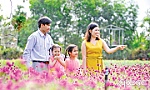 Giải pháp phòng, chống bạo lực trên cơ sở giới