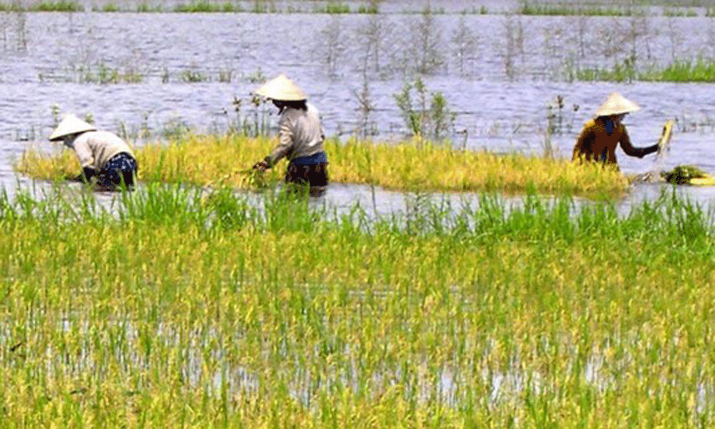Ảnh minh họa.
