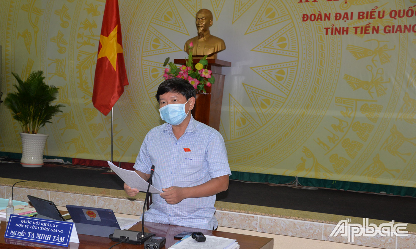 Phó trưởng đoàn ĐBQH  tỉnh Tạ Minh Tâm phát biểu tại buổi thảo luận tổ