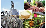 Thay đổi nhận thức, nâng cao chất lượng nông sản Việt