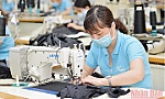 Thị trường lao động thích ứng tình hình mới