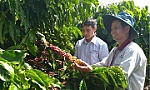 Syngenta Việt Nam được vinh danh là doanh nghiệp xuất sắc châu Á
