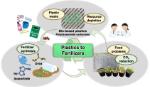 Chuyển đổi polymer sinh học thành phân bón cho cây trồng