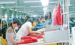 Thu hẹp bất bình đẳng giới trong bối cảnh đại dịch