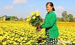 Bình Nghị: Sức bật từ xây dựng xã nông thôn mới nâng cao