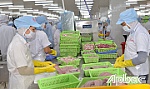Một năm ứng phó SARS-CoV-2: Nhìn lại và đi tới - BÀI 2: Xuất khẩu vượt khó