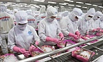 Năm 2021, GDP cả nước ước tăng 2,58%