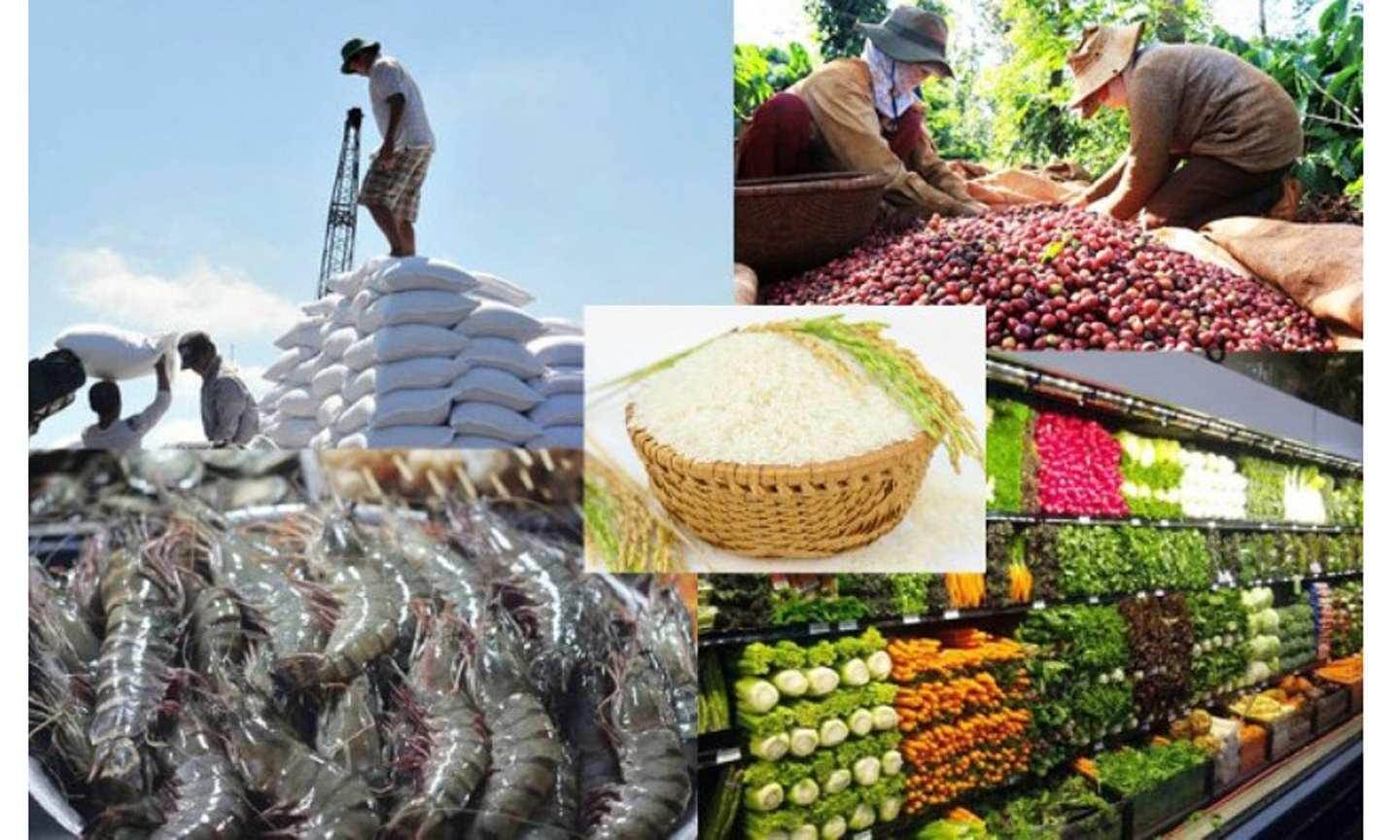 Nông sản Việt Nam chiếm thị phần khiêm tốn tại thị trường EU.
