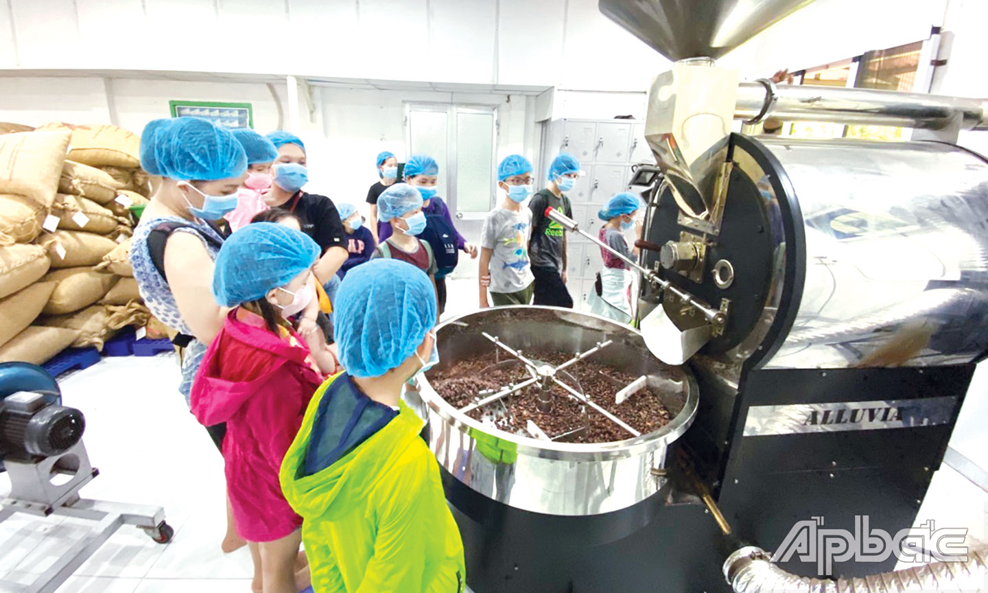 Du lịch trải nghiệm cho trẻ em tại Công ty TNHH Ca cao Xuân Ron Chợ Gạo.