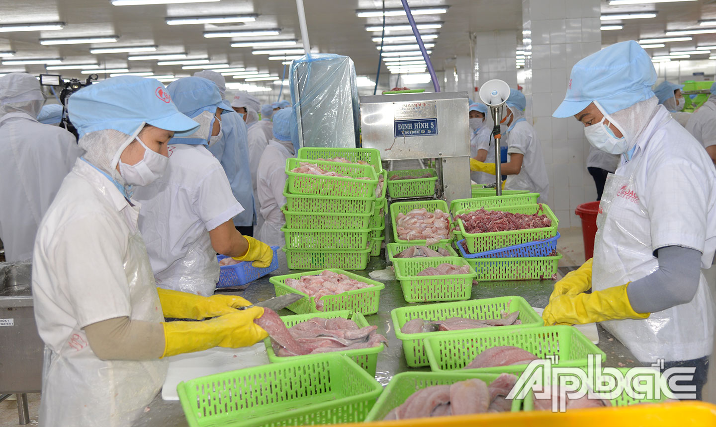 Các doanh nghiệp trong ngành Thủy sản xuất khẩu chịu rất nhiều áp lực do tác động của Covid-19.