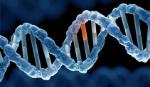 100 người Việt có 3 người mang gene đột biến ung thư