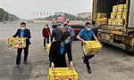 Hỗ trợ tiêu thụ nông sản nội địa để giảm áp lực cho xuất khẩu