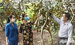 Từng bước khởi động lại hoạt động du lịch