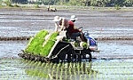 Phát triển vùng ĐBSCL thành trung tâm kinh tế nông nghiệp bền vững