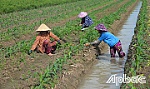 Xây dựng Đảng bộ gắn với thực hiện tốt mục tiêu kép