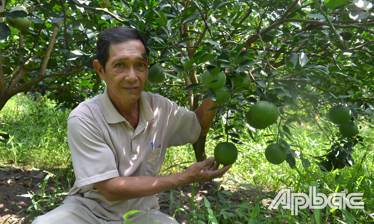 Ông Huỳnh Nguyên Anh bên vườn cây ăn trái của gia đình.