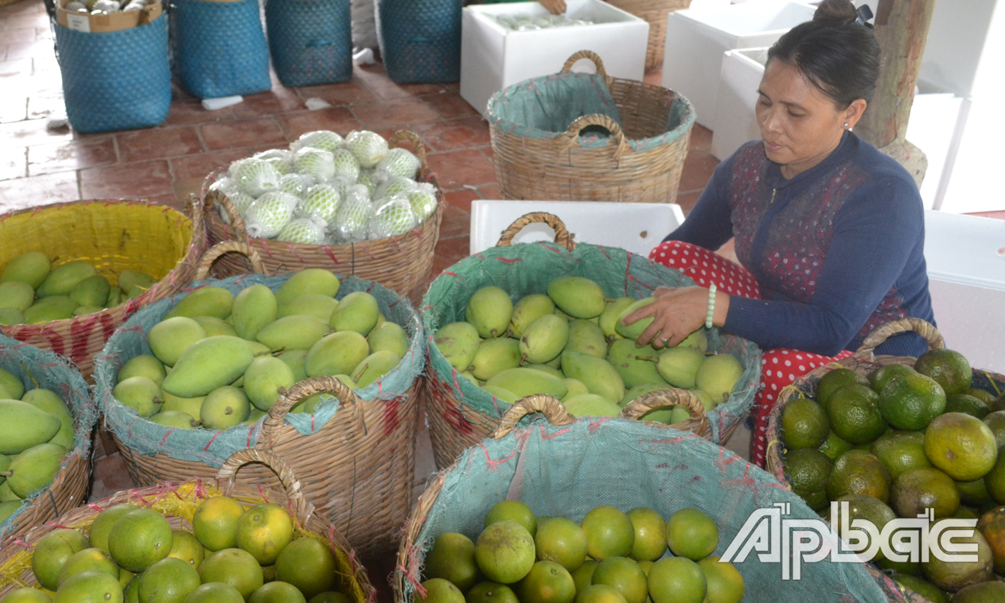 Tiêu thụ nông sản gặp nhiều khó khăn.