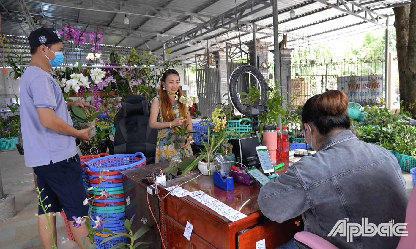 Vườn lan của chị Phượng livestream bán hoa lan hàng ngày trên trang: Vườn Lan Vĩnh Kim- Tiền Giang.