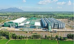 Hướng đi mới của ngành lúa gạo