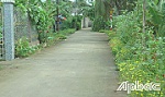Chuyển mình ở một xã cù lao