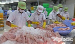 Tín hiệu lạc quan từ những ngày đầu năm