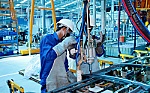 Những tín hiệu khởi sắc đầu năm