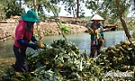 Điểm sáng ở một Đảng bộ xã