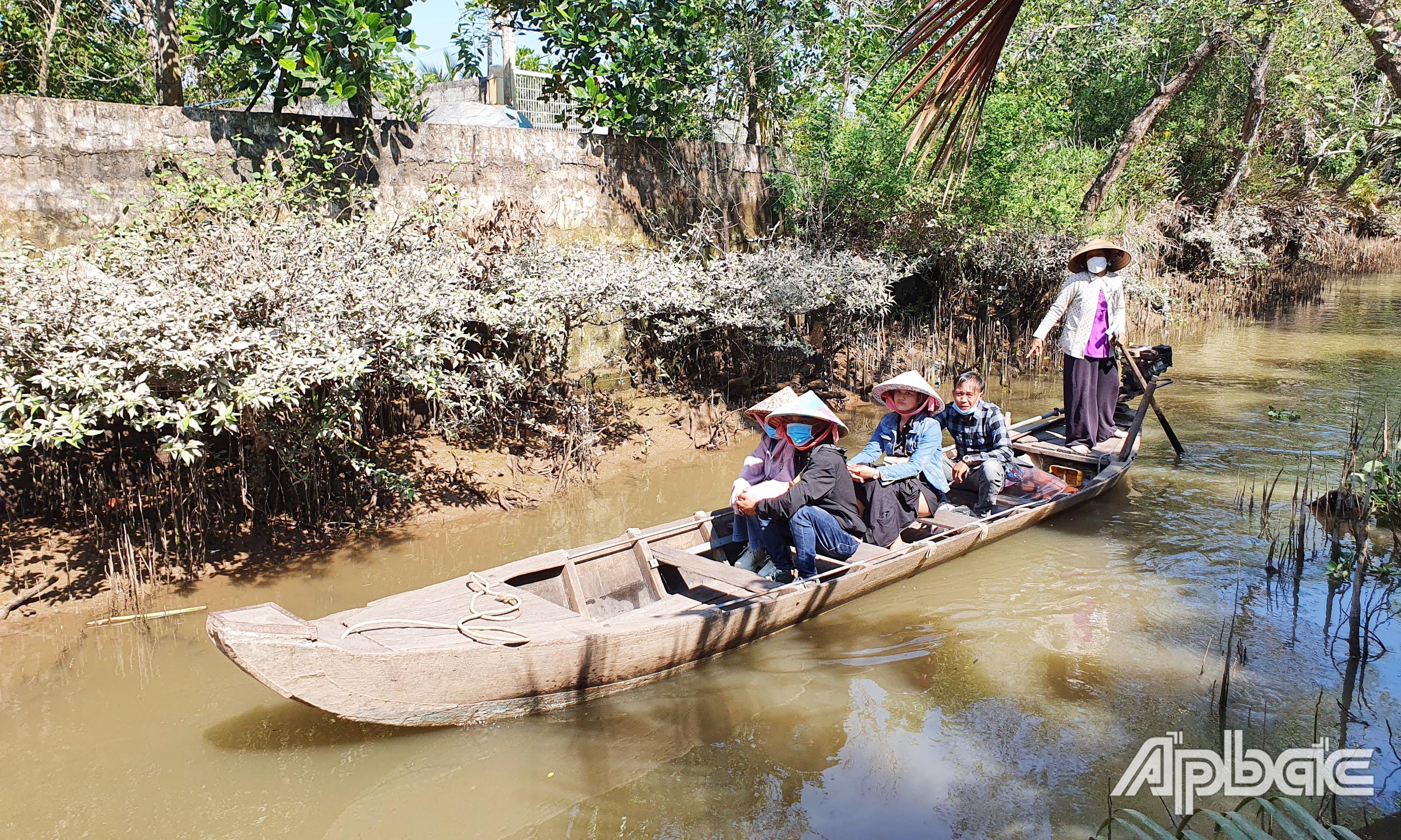 Chèo xuồng đưa khách du lịch tham quan qua các kinh rạch ở Cù lao Tân Phong.