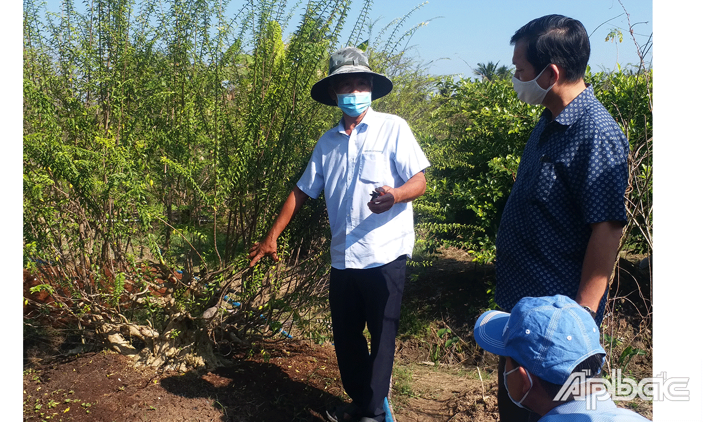 Anh Kiệt sẳn sàng tạo điều kiện và tận tình hướng dẫn kỹ thuật, chia sẻ kinh nghiệm chơi kiểng cho anh em chơi kiểng tại vườn kiểng của mình.