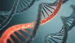 Nhận thức về vai trò RNA có thể hình thành phương pháp điều trị ung thư mới