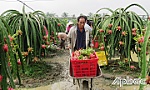 Đừng để có lỗi với nông dân!