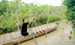 Kiếm tiền trực tuyến: Mồi ngon không dễ gắp