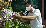 Chuyện anh kỹ sư mê hoa lan