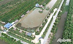 Doanh nghiệp tìm hiểu tiềm năng phát triển du lịch sinh thái huyện Tân Phước