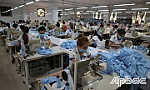 Tiền Giang: Giải quyết chế độ trợ cấp thất nghiệp cho 12.261 lao động với 248,53 tỷ đồng