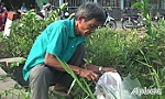 Chuyện ông Bảy cựu chiến binh tham gia bảo vệ môi trường