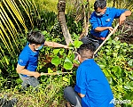 Tiền Giang ra quân 
