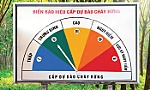 Ban hành cấp dự báo cháy rừng và bảng tra cấp dự báo cháy rừng trên địa bàn tỉnh Tiền Giang