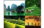Tổ chức Cuộc thi và Triển lãm Ảnh nghệ thuật Việt Nam