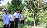 Hội Cựu chiến binh huyện Cai Lậy: Hỗ trợ đồng đội vươn lên