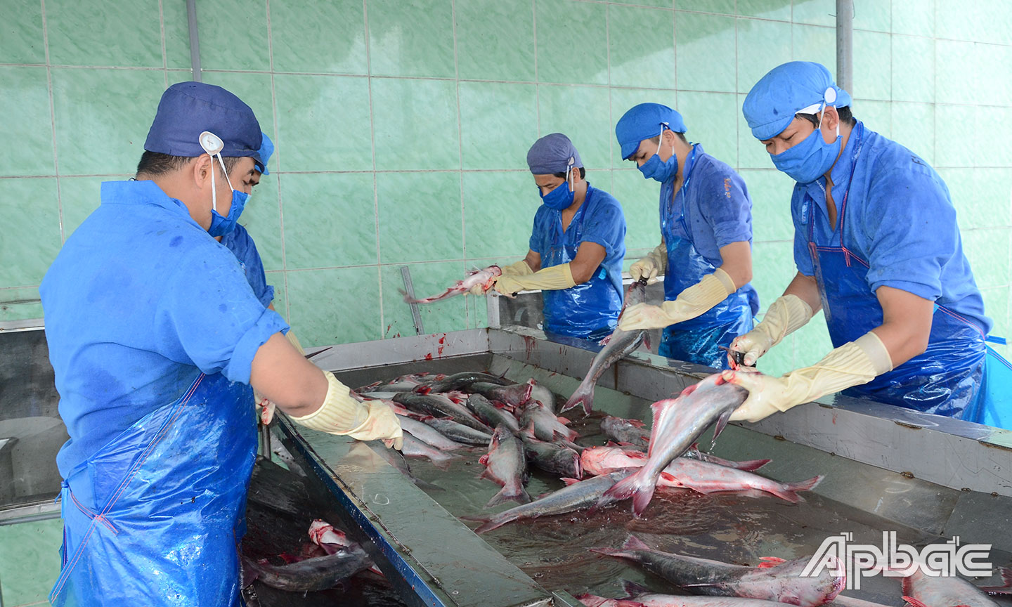 Nhờ thực hiện phương án “3 tại chỗ”, nhiều DN trên địa bàn tỉnh đã duy trì được hoạt động sản xuất, kinh doanh.