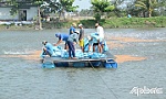 Bài cuối: Đừng 
