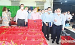 Cần có cơ chế, chính sách để kinh tế tập thể phát triển tốt hơn