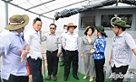 Tiền Giang: Ban Thường vụ Tỉnh ủy khảo sát vùng phía Đông