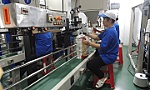 Gạo Việt Nam ghi dấu ấn về chất lượng