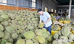 Quyền Giám đốc Sở Công thương Tiền Giang Đặng Văn Tuấn: Doanh nghiệp cần đẩy mạnh xuất khẩu chính ngạch