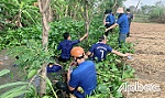 Dấu ấn những công trình thanh niên