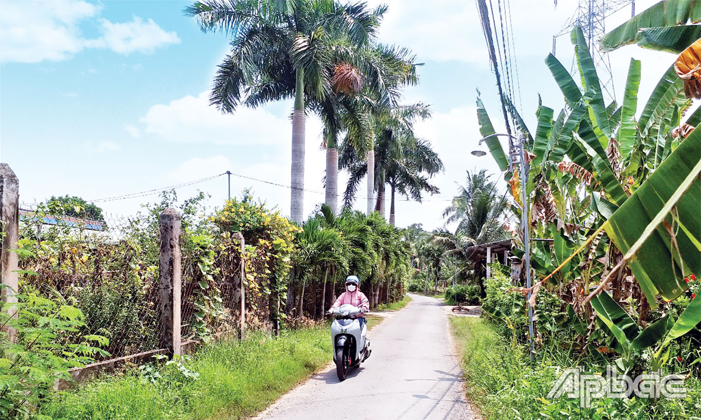 Những tuyến đường tại ấp Đông, xã Long Định được bê tông hóa khang trang.