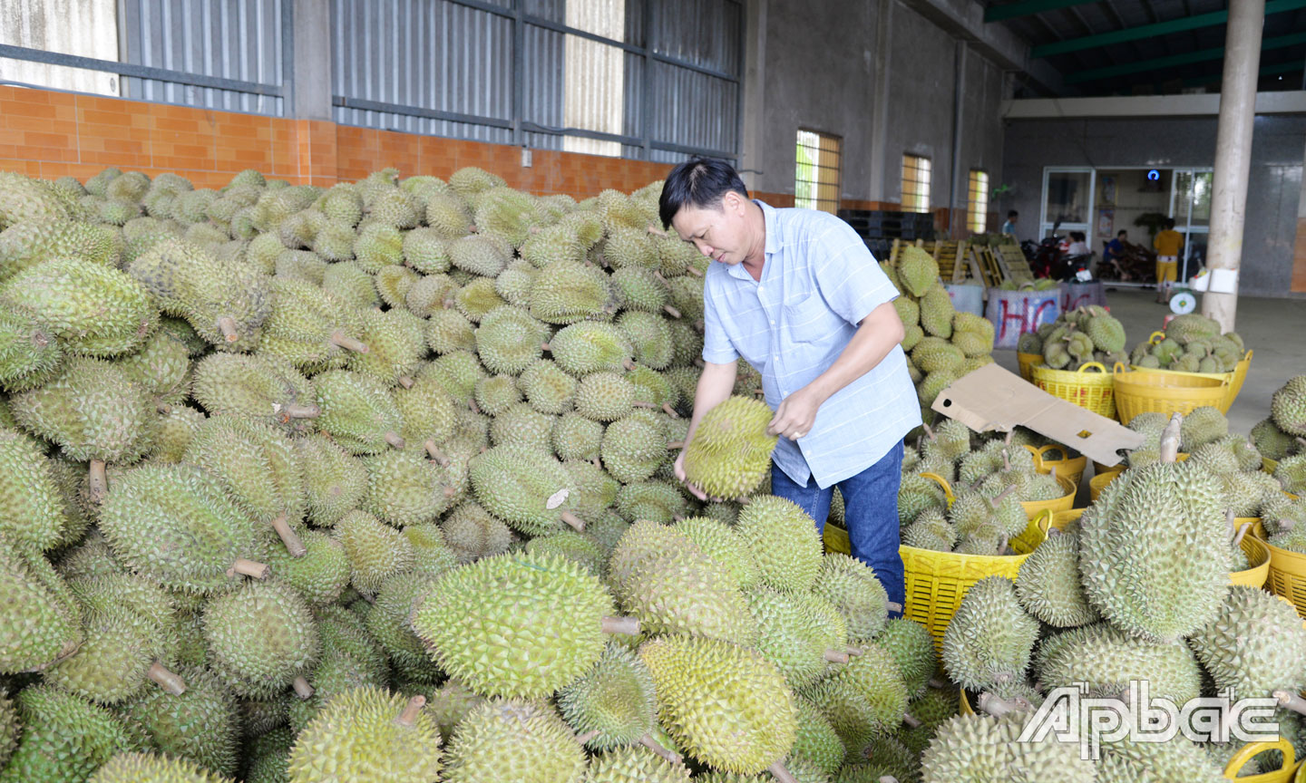 Nông sản cần chuyển hướng sang xuất khẩu chính ngạch. 