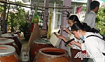 Không chủ quan với sốt xuất huyết